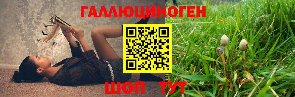 Каменка  Псилоцибиновые грибы Psilocybine cubensis  Вход с VPN 