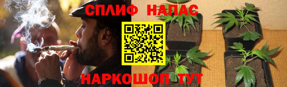 Бошки Шишки план  Вход с VPN  Конопля LSD WEED  Бошки Шишки Bruce Banner  Каменка 